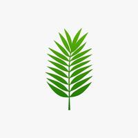 green leaf. Elements design for natural, eco, vegan, bio labels vector