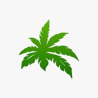 green leaf. Elements design for natural, eco, vegan, bio labels vector