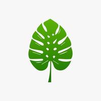 green leaf. Elements design for natural, eco, vegan, bio labels vector