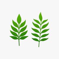 green leaf. Elements design for natural, eco, vegan, bio labels vector