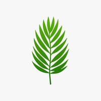 green leaf. Elements design for natural, eco, vegan, bio labels vector