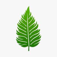 green leaf. Elements design for natural, eco, vegan, bio labels vector