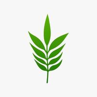 green leaf. Elements design for natural, eco, vegan, bio labels vector