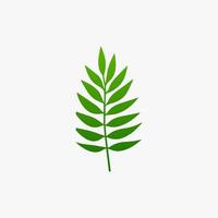 green leaf. Elements design for natural, eco, vegan, bio labels vector