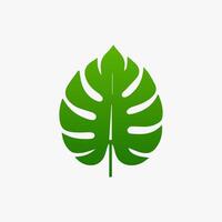 green leaf. Elements design for natural, eco, vegan, bio labels vector