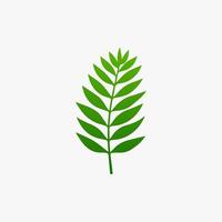 green leaf. Elements design for natural, eco, vegan, bio labels vector