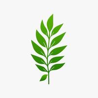 green leaf. Elements design for natural, eco, vegan, bio labels vector