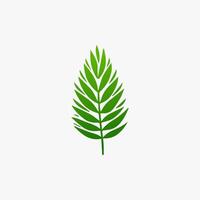 green leaf. Elements design for natural, eco, vegan, bio labels vector