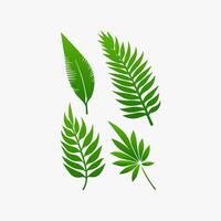 green leaf. Elements design for natural, eco, vegan, bio labels vector