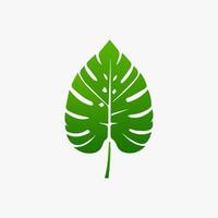 green leaf. Elements design for natural, eco, vegan, bio labels vector