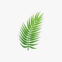green leaf. Elements design for natural, eco, vegan, bio labels vector