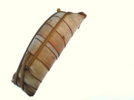 Lepet or leupeut Indonesian traditional food with glutinous rice and grated coconut ingredients wrapped in coconut leaves isolated on white background photo