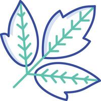 Box elder Leaf outline color illustration vector