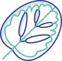 Calathea Leaf outline color illustration vector