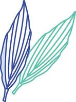 Aspidistra Leaf outline color illustration vector