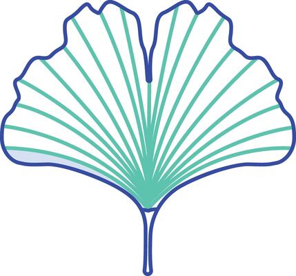 Ginkgo Leaf outline color illustration