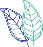 Citrus Leaf outline color illustration vector