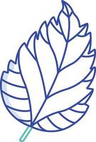 Hibiscus Leaf outline color illustration vector