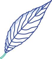 Willow Leaf outline color illustration vector