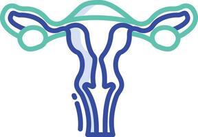 Reproductive system outline color illustration vector