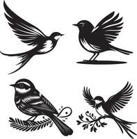 four birds on a branch vector