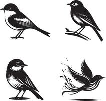 four black and white birds on a branch vector