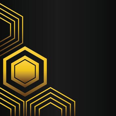 golden hexagon frame corner decoration on black background