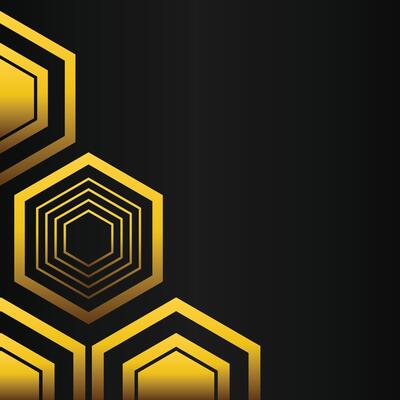 golden hexagon frame corner decoration on black background