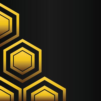 golden hexagon frame corner decoration on black background