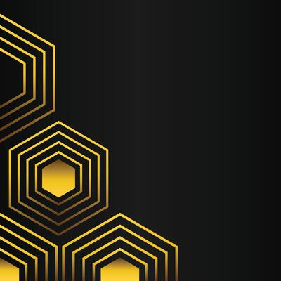 golden hexagon frame corner decoration on black background