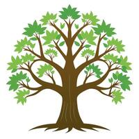 Set tree. high resolution set tree vector