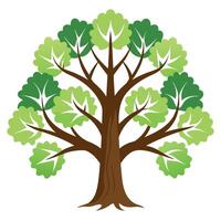 Set tree. high resolution set tree vector