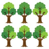 Set tree. high resolution set tree vector