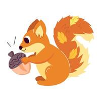 WebCute squirrel acorn sticker in flat style vector