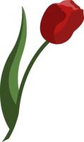 Spring flower tulip. element for for your design and greetings, postcards card for your loved ones. vector
