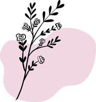 Hand drawn floral, botanical element on colour background shape for design. Instagram story icons vector
