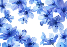 Blue flowers in full bloom, creating a serene and vibrant display. Isolated on a transparent background png