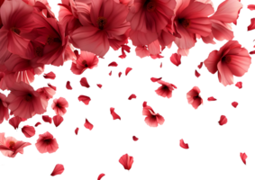 Pink and orange flowers with petals scattered, creating a vibrant floral design. Isolated on a transparent background png