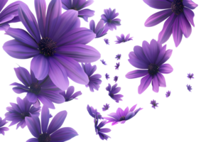 Purple flowers with petals scattered, creating a vibrant floral design. Isolated on a transparent background png