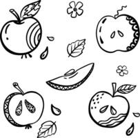 Apple hand drawn style. Food eco template for menu, apple jam and juice label, tea banner, textile vector