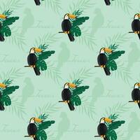 Tropical pattern with toucans. Summer background. Cute birds texture vector