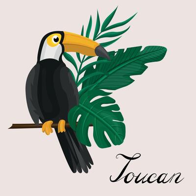 Toucan, exotic birds, tropical flowers, palm leaves, jungle leaves, bird of paradise.