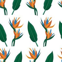 Tropical flora or plants pattern. Flower blossom. Bird pf paradise or strelizia flower. Pattern for texstile vector