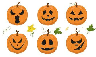 set of Halloween pumpkins. Color image of holiday pumpkins with leaves. Set of icons with vegetables. vector