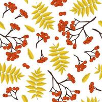 seamless pattern of autumn leaves and rowan. Natural colorful background for textiles, packaging and cards. vector