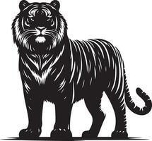 black silhouette of standing tiger on white background of illustration vector