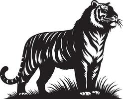 black silhouette of standing tiger on white background of illustration vector