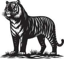 black silhouette of standing tiger on white background of illustration vector