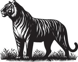 black silhouette of standing tiger on white background of illustration vector
