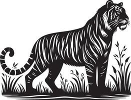 black silhouette of standing tiger on white background of illustration vector